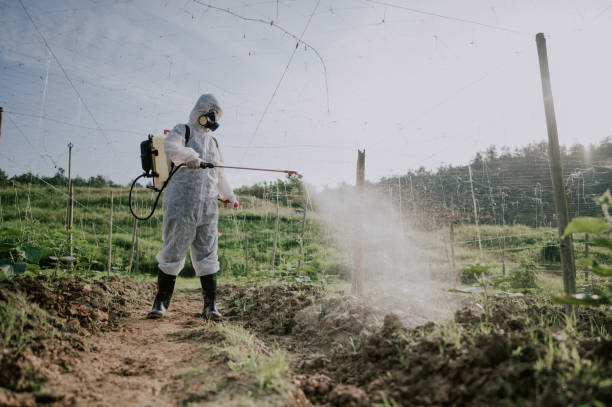 Best Best Pest Control Companies  in Greenfield, TN
