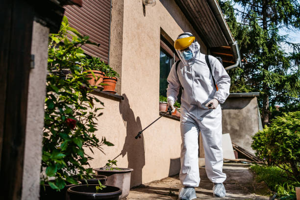 Best Pest Control for Homes  in Greenfield, TN