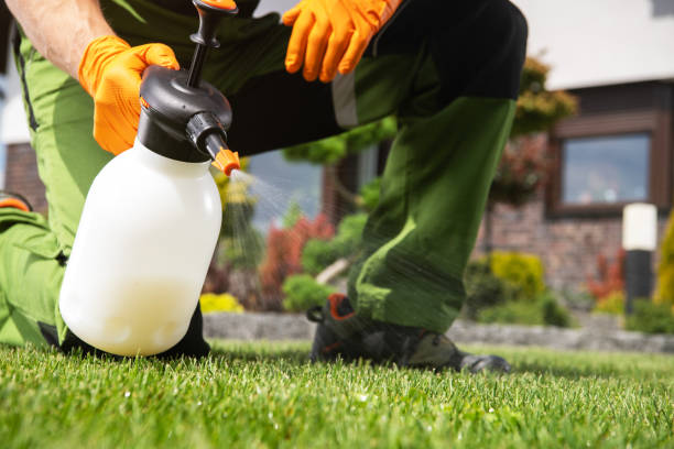 Trusted Greenfield, TN Pest Control Experts