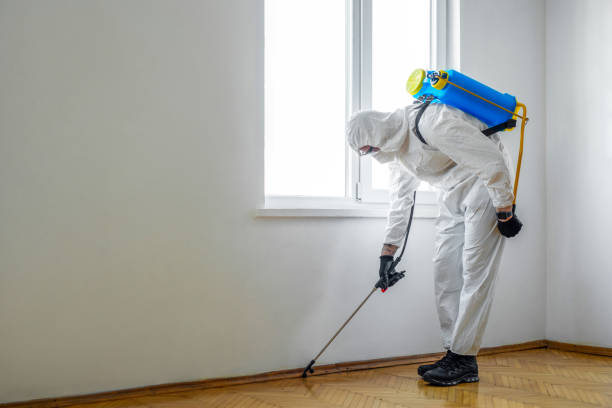 Best Mosquito Control Services  in Greenfield, TN