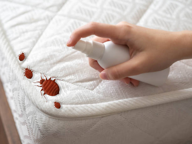 Pest Control Cost in Greenfield, TN