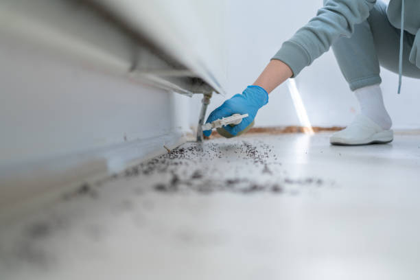 Best Flea Control Services  in Greenfield, TN